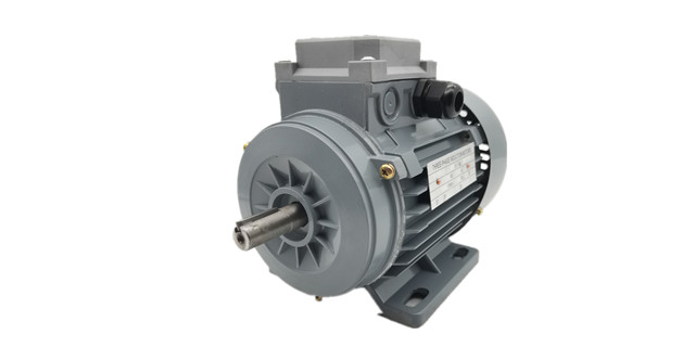 Y100-4 3KW三相異步電動(dòng)機(jī)