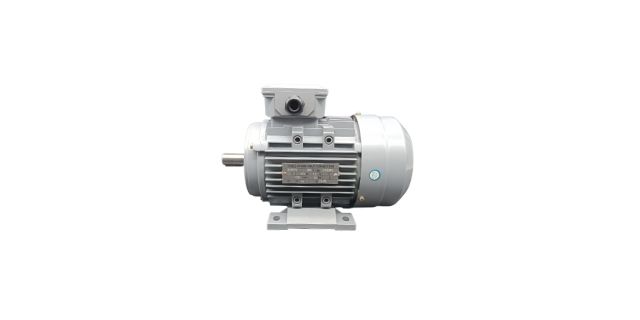 三相異步電動機廠家