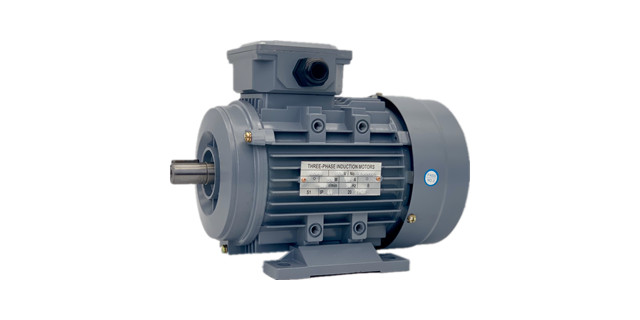 三相異步電動(dòng)機(jī)廠家電機(jī)產(chǎn)品