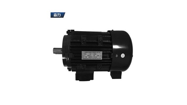 力矩電機(jī)廠家產(chǎn)品圖片