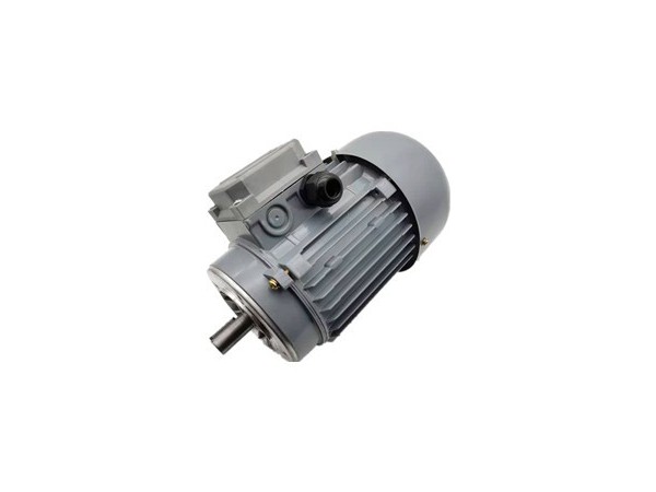三相異步電動(dòng)機(jī)廠家雙速電機(jī)產(chǎn)品