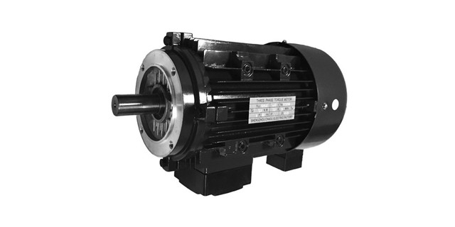 力矩電機(jī)廠家產(chǎn)品