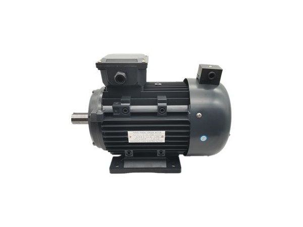 三相力矩電動機廠家產(chǎn)品圖片