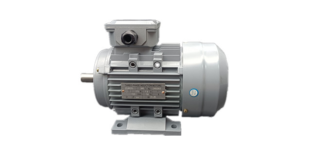 三相異步電動機廠家產(chǎn)品